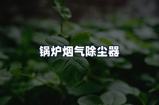 锅炉烟气除尘器